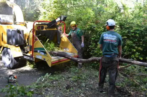 tree services Bowdon